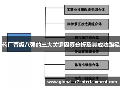 药厂晋级八强的三大关键因素分析及其成功路径