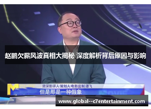 赵鹏欠薪风波真相大揭秘 深度解析背后原因与影响 赵鹏欠薪风波真相大揭秘 深度解析背后原因与影响