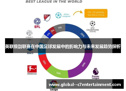 英联级别联赛在中国足球发展中的影响力与未来发展趋势探析