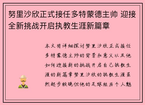 努里沙欣正式接任多特蒙德主帅 迎接全新挑战开启执教生涯新篇章